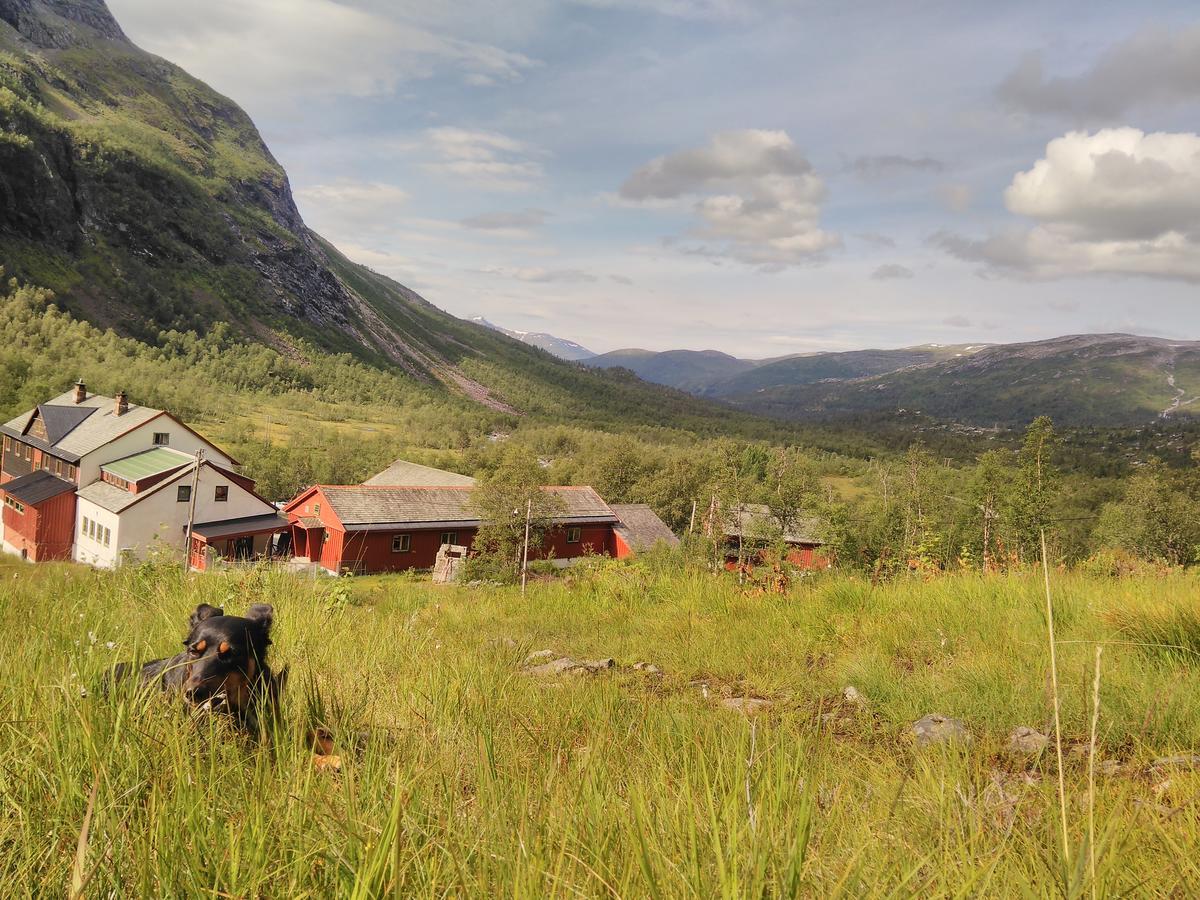 Voss Mountain Lodge Mjolfjell Eksteriør billede