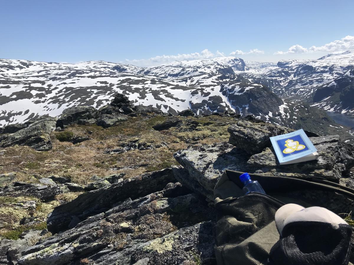 Voss Mountain Lodge Mjolfjell Eksteriør billede