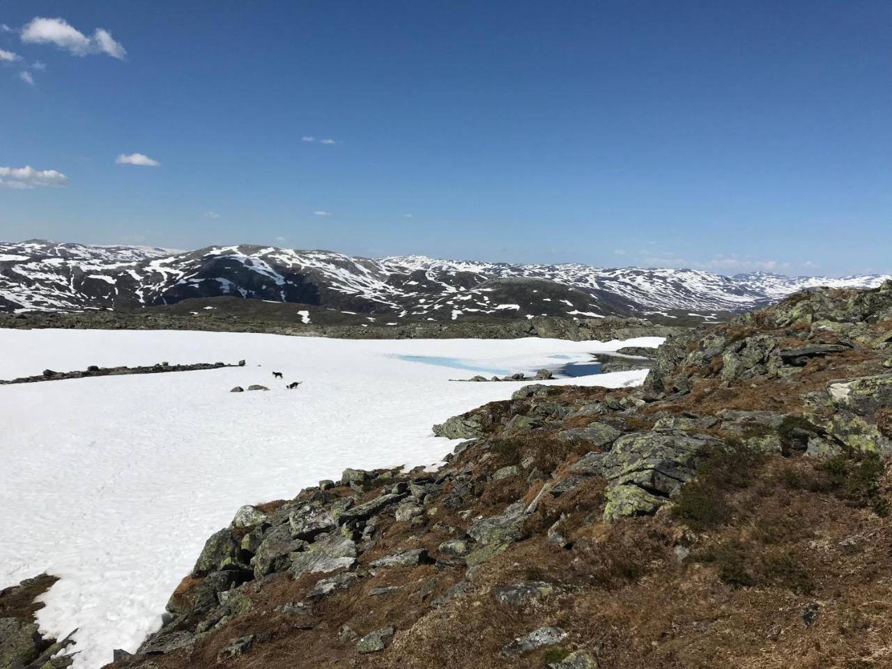 Voss Mountain Lodge Mjolfjell Eksteriør billede